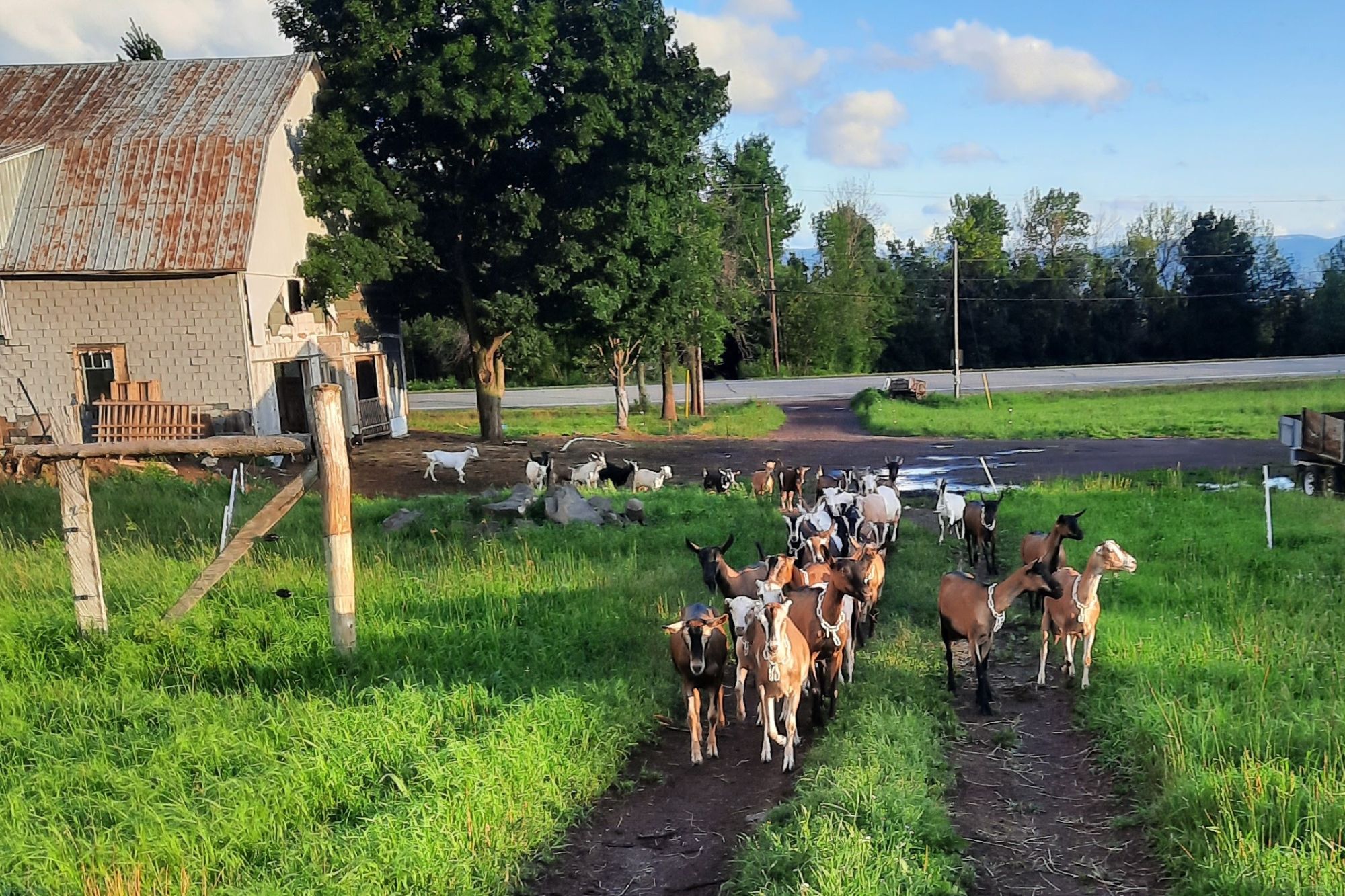 FERME PAYSANNE